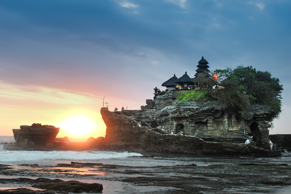 Lush green rice fields and tropical landscape in Bali